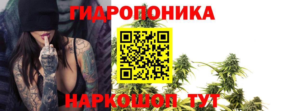 Бошки марихуана OG Kush  Конопля ГИДРОПОН  Вход с VPN  Астрахань  Каннабис гибрид 